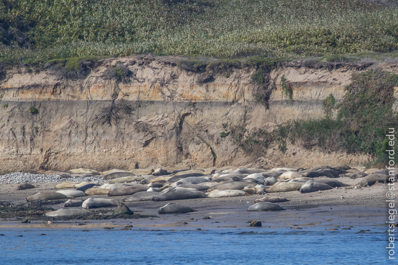 class at bight beach